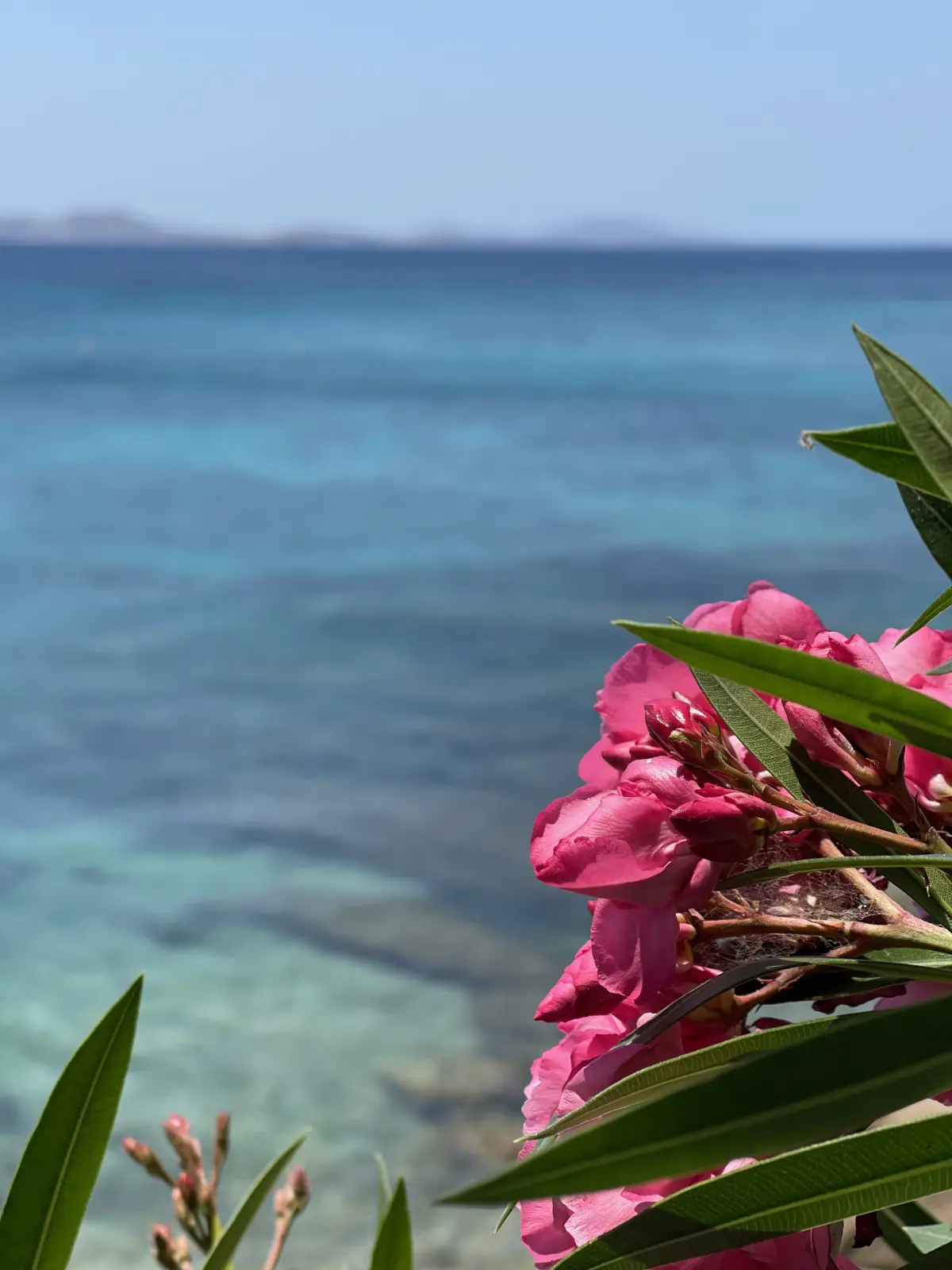 Exploring Mykonos
